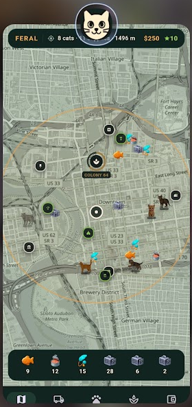 Feral — your patch, cats and supplies on the street
