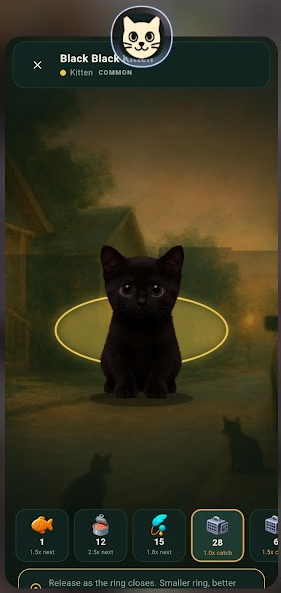 Feral — talking a kitten into a carrier